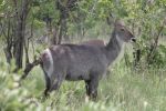 safrica_dec_13_image97.jpg